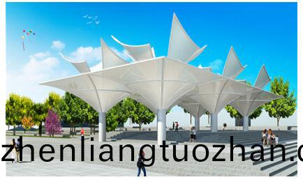 膜(mo)結(jie)構公司所生(sheng)産的(de)汚(wu)水(shui)池反(fan)弔(diao)膜具(ju)有哪(na)些(xie)應用特色(se)